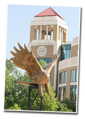 hawk statue with library bell tower in background